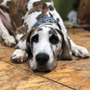 Meet your Posher, Jaclynn